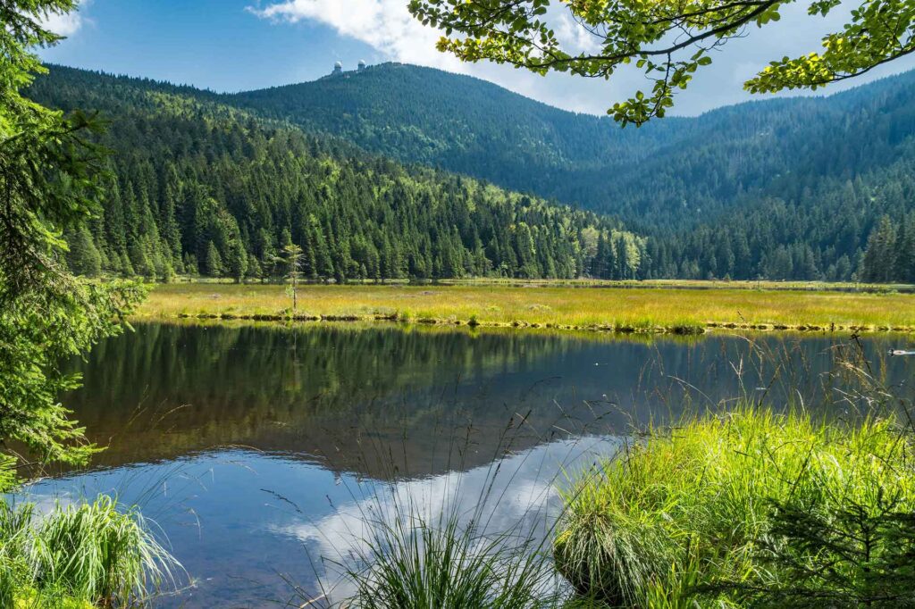 Der Große Arbersee im Bayerischen Wald, umgeben von malerischer Natur.