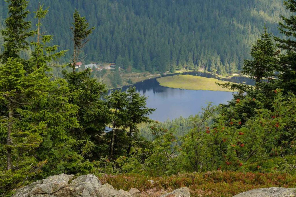 Aussicht auf einen einsamen Waldsee im Bayerischen Wald.
