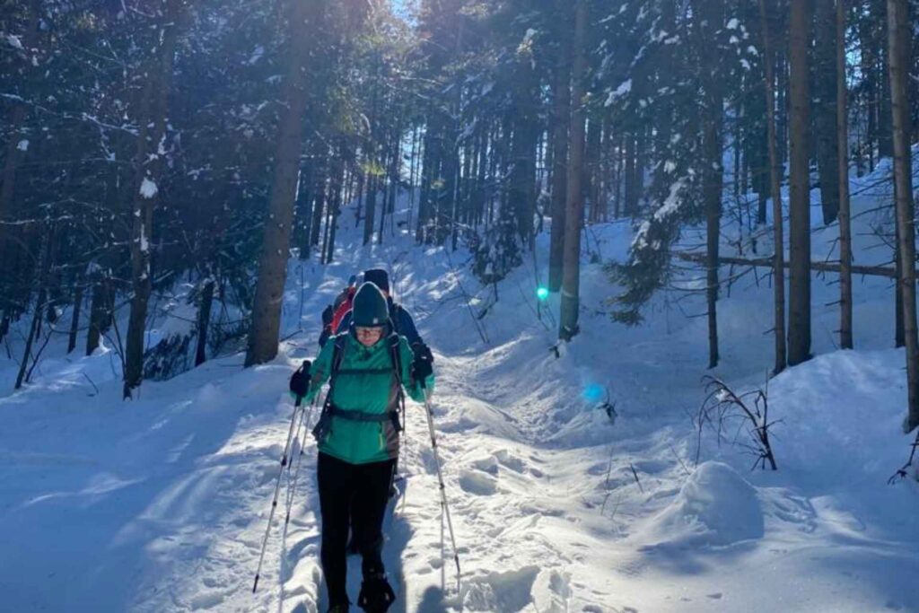 Schneeschuhwandern im Bayerischen Wald mit Gästen des Wellnesshotels Waldeck Bodenmais.